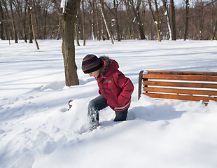 Image showing Little boy in a winter park