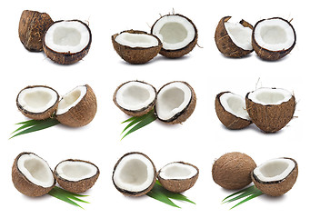 Image showing Coconuts