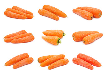 Image showing Carrot