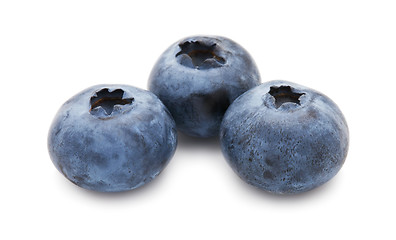 Image showing Blueberry