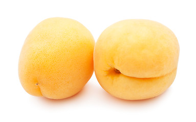 Image showing Apricots