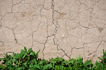 Image showing Dry land