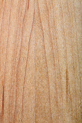 Image showing laminated maple wood varnished