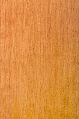 Image showing laminated maple wood varnished