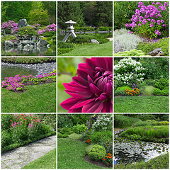 Image showing Blooming summer gardens