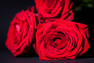 Image showing beautiful red rose flower on black background