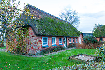 Image showing Residential house with a green mossy thatch roof