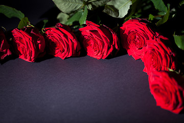 Image showing beautiful red rose flower on black background