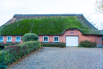 Image showing Residential house with a green mossy thatch roof