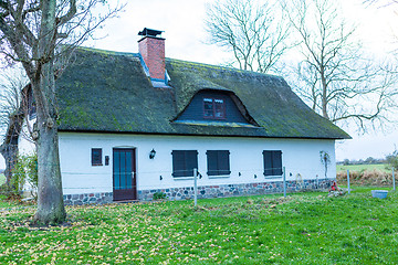 Image showing Residential house with a green mossy thatch roof