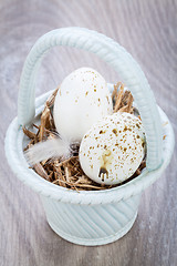 Image showing Three natural blue Easter eggs in a basket