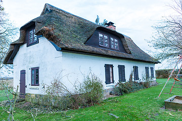 Image showing Residential house with a green mossy thatch roof