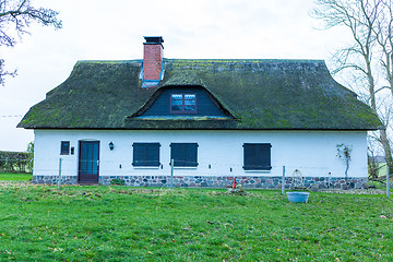 Image showing Residential house with a green mossy thatch roof