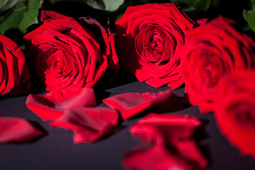 Image showing beautiful red rose flower on black background