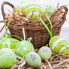 Image showing Colourful green Easter eggs in straw