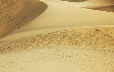 Image showing Spain. Gran Canaria island. Dunes of Maspalomas