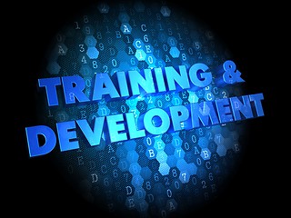 Image showing Training and Development on Digital Background.