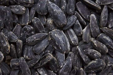 Image showing Sunflower seeds