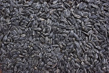 Image showing Sunflower seeds