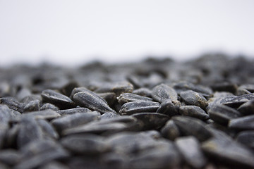 Image showing Sunflower seeds