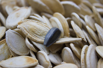 Image showing Pumpkin seeds