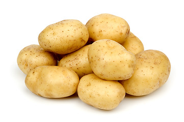 Image showing potato