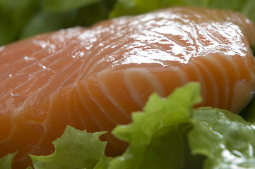 Image showing salmon