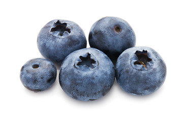 Image showing Blueberry