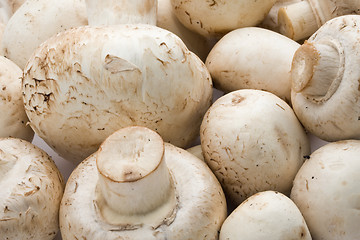 Image showing Champignon mushrooms