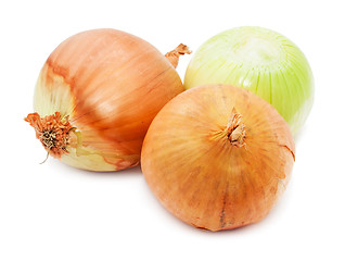 Image showing Onion