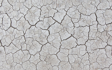 Image showing White cracked ground