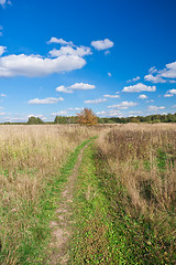 Image showing Meadow