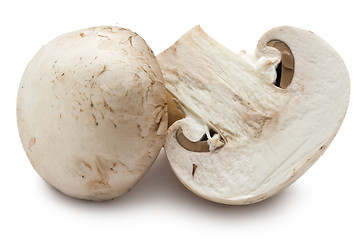 Image showing Champignon mushrooms