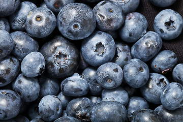 Image showing Blueberries