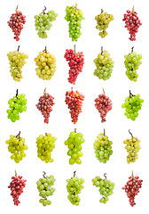 Image showing Grapes