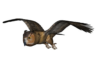 Image showing Flying Owl
