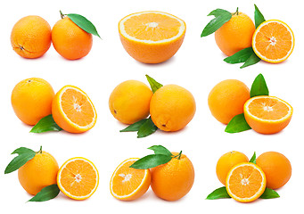 Image showing Oranges