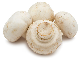 Image showing Champignon mushrooms