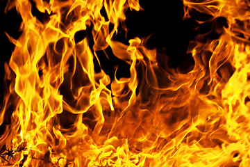 Image showing Fire