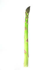 Image showing asparagus