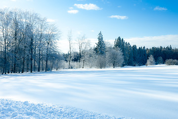 Image showing winter scenery at Dobel Germany