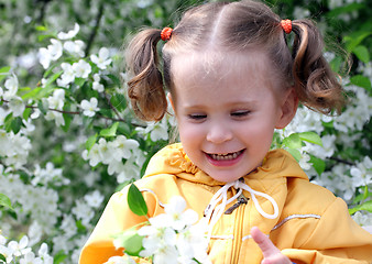 Image showing little girl near blossoming apple tree