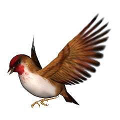 Image showing Songbird Scarlet Finch