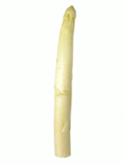 Image showing asparagus