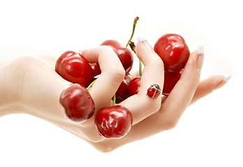 Image showing hand full of red cherries