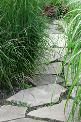 Image showing Stone path in the summer garden