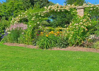 Image showing Sunny summer garden with green lawn