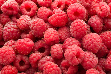 Image showing Raspberries