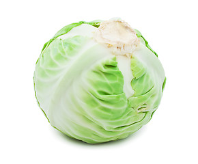 Image showing Cabbage