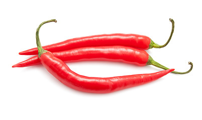 Image showing Hot chili pepper